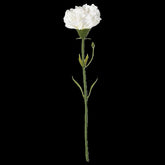SMYCKA Artificial Flower, Carnation/White, 30